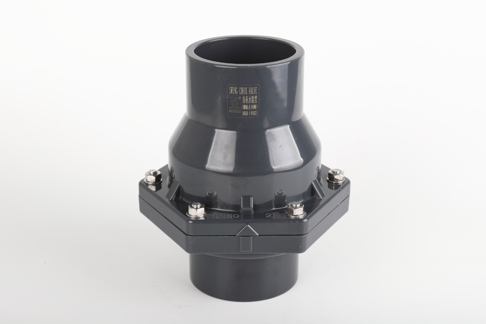 净潭乡翻板式止回阀