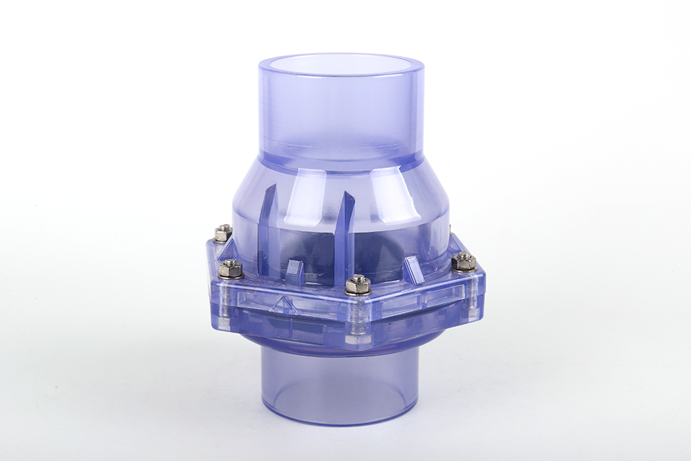 净潭乡透明翻板式止回阀